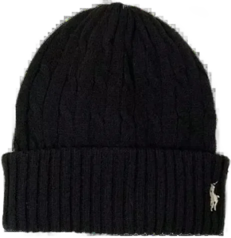 Polo Logo Knit Beanies