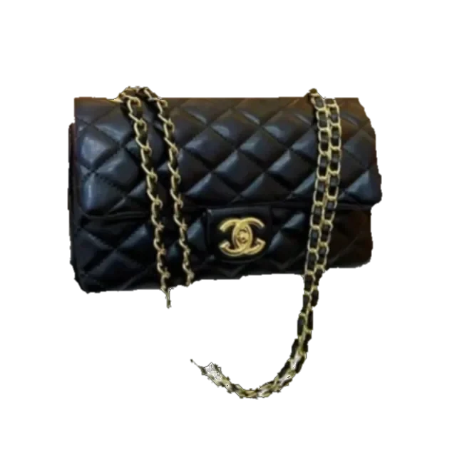 Chanel Bag Collection